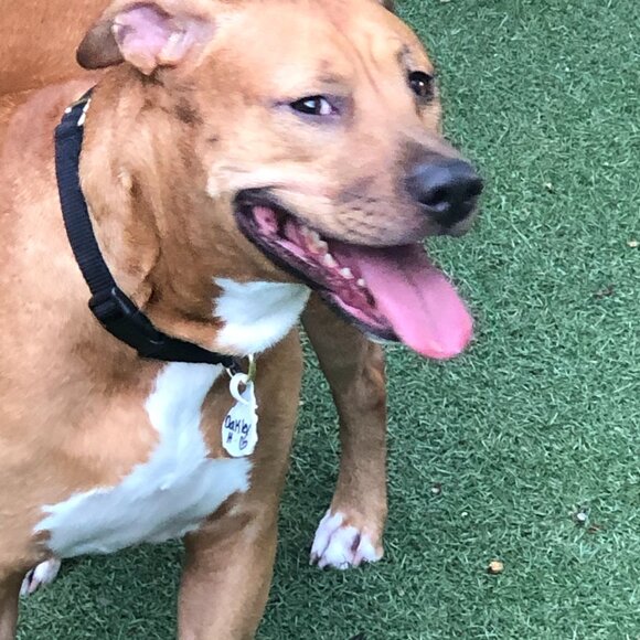 Never Worn - Lucky Brand 410 Athletic Cut Blue Jeans - 38 X 30 - Picture 1 of 4